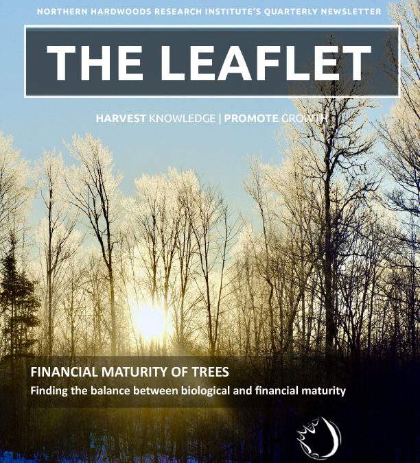 Late Winter &rsquo;22