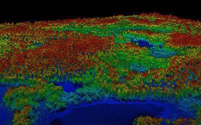 LiDAR Technology in forest inventory
