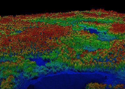 LiDAR Technology in forest inventory