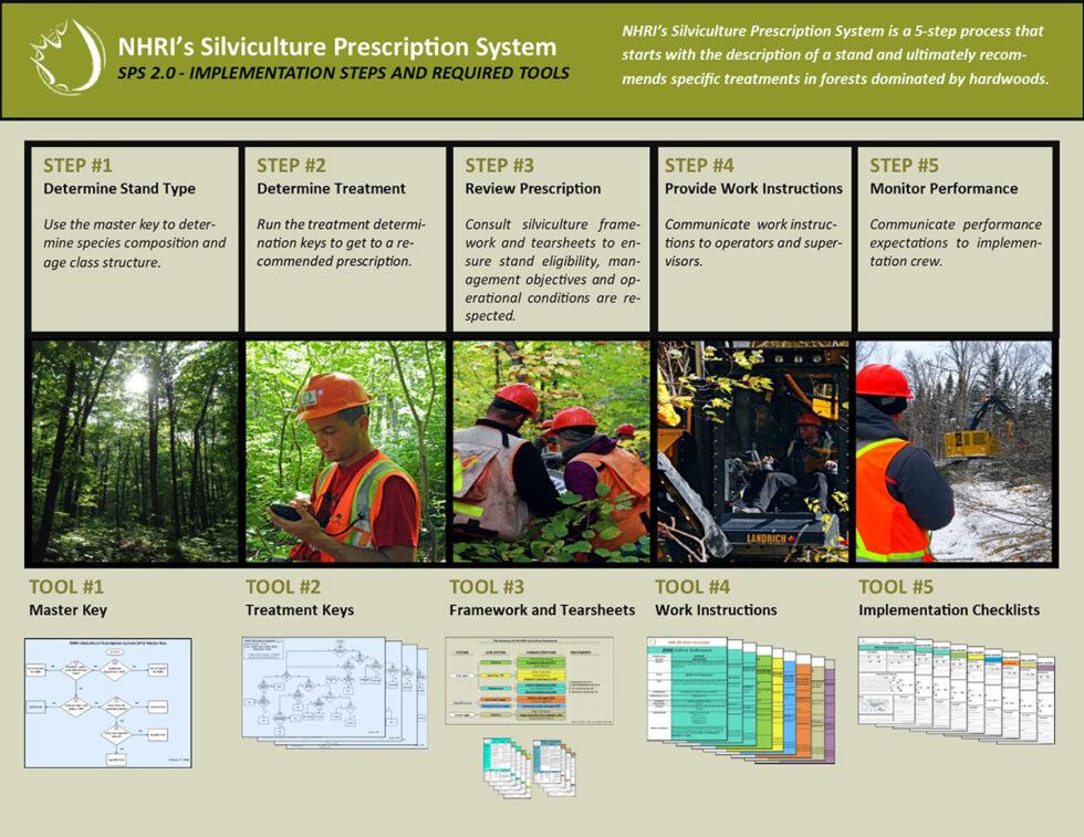 Silviculture Prescription System Northern Hardwoods Research Institute