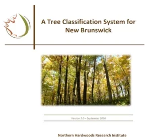 Tree Classification System for NB – Complete Guidebook