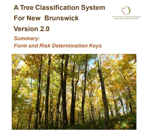 Tree Classification System – Summary              