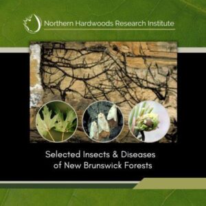 Selected Insects & Pests of NB Forests