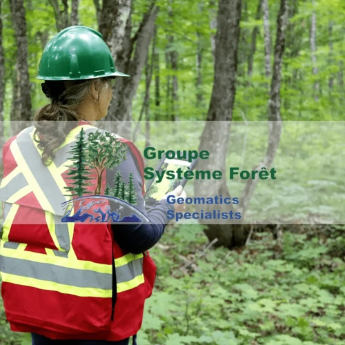 Groupe Système Forêt – FR