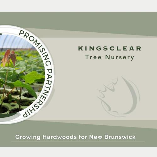 Kingsclear Tree Nursery