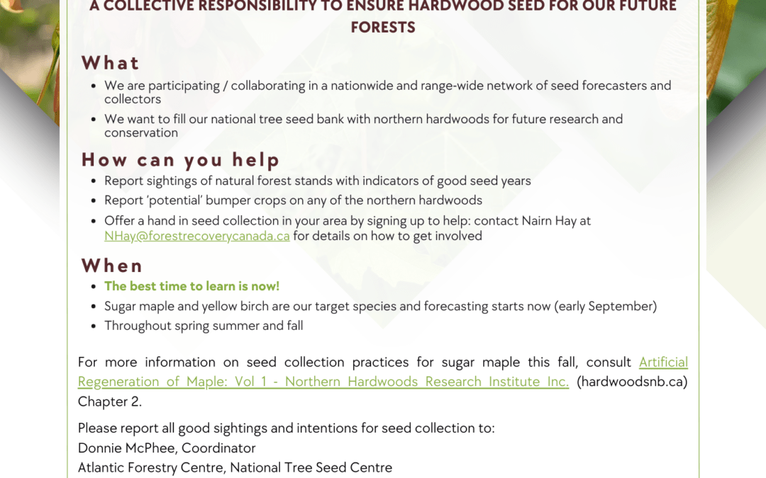 Seed Collection 2023