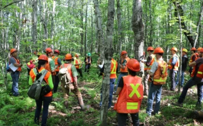 NHRI’s tree classification system