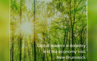 Finnish Forestry Delegation Sparks Collaboration and Innovation in Atlantic Canada