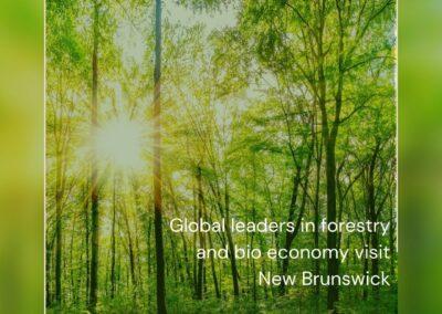 Finnish Forestry Delegation Sparks Collaboration and Innovation in Atlantic Canada