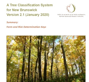 Tree Classification Determination Keys