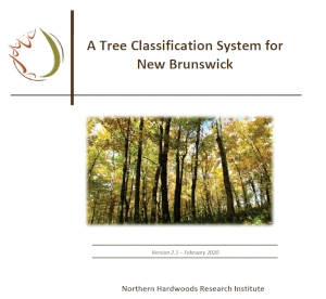 Tree Classification System for NB