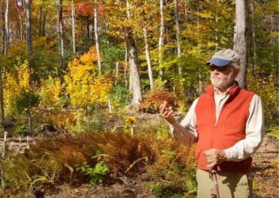 Shaping Forests Differently: Bob Seymour’s Irregular Silviculture Shelterwood Approach