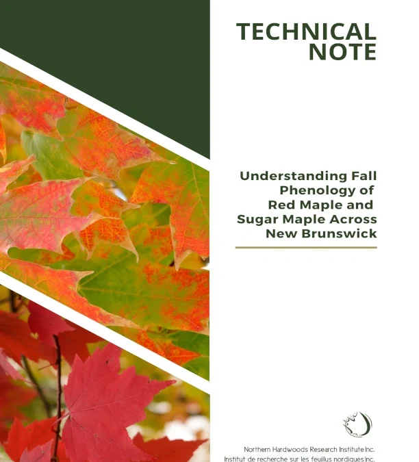 Understanding Fall Phenology