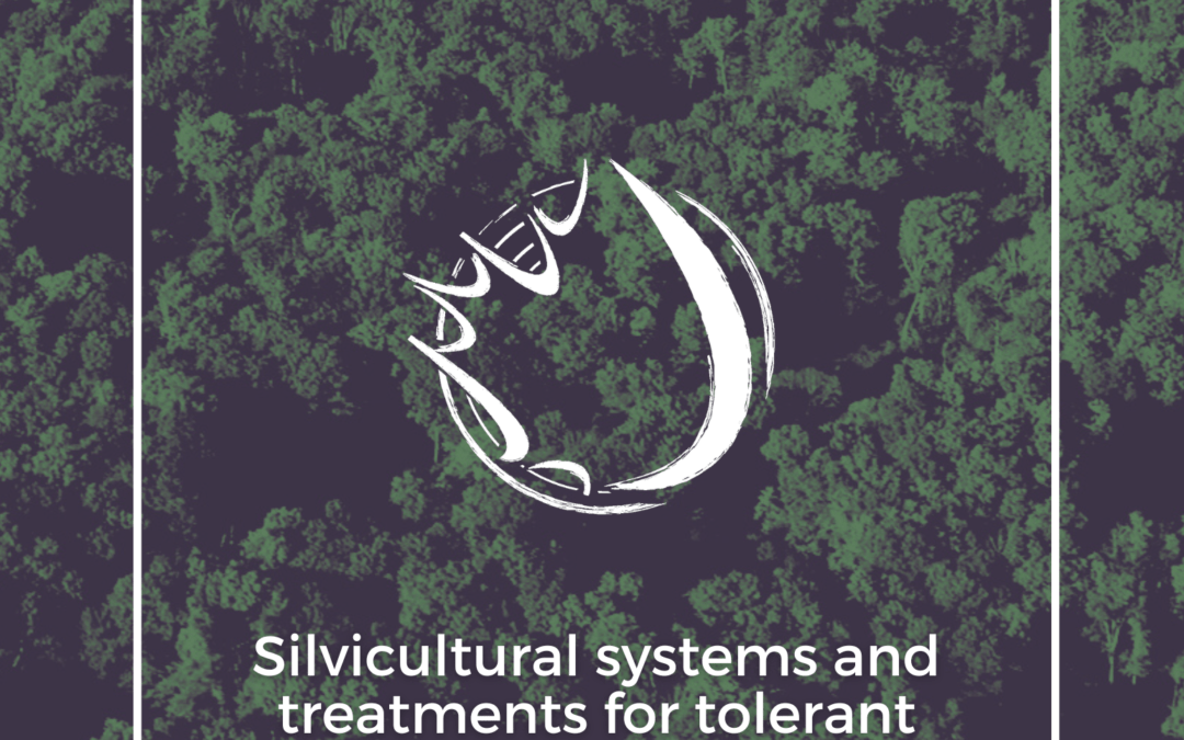 Volume II Recommended Practices for Tolerant Hardwoods in NB