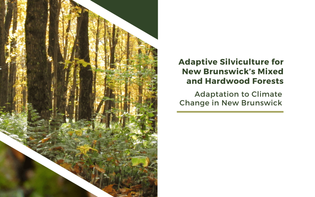 Adaptive Silviculture Adaptation to Climate Change