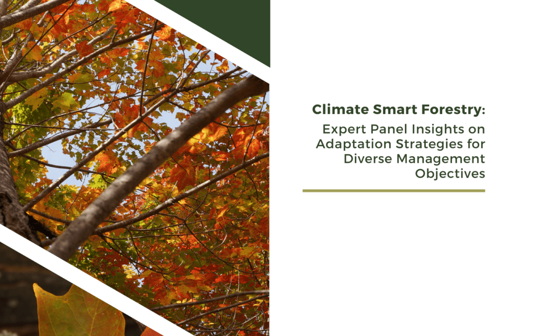 Climate Smart Forestry