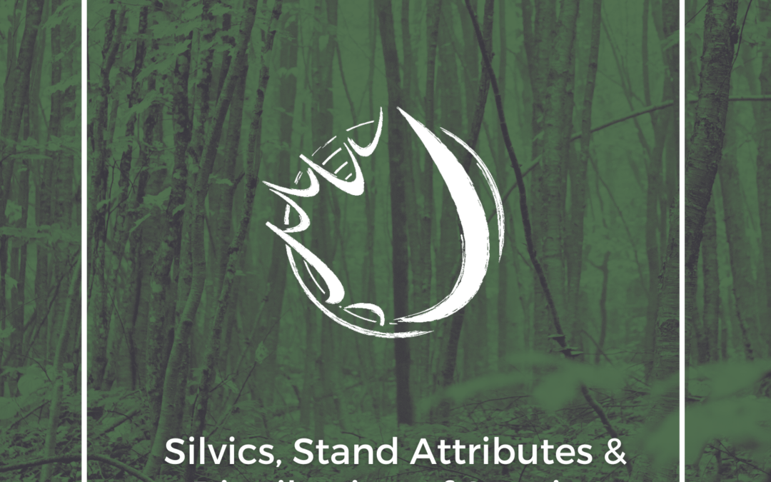 Volume I Recommended Practices for Tolerant Hardwoods in NB