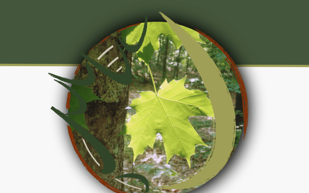 Adaptive Silviculture Guidebook Vol.-1