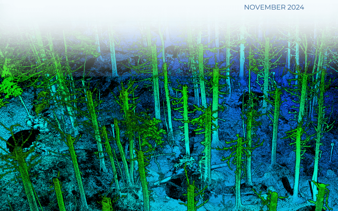 High Density LiDAR Point Clouds in Precision Forestry