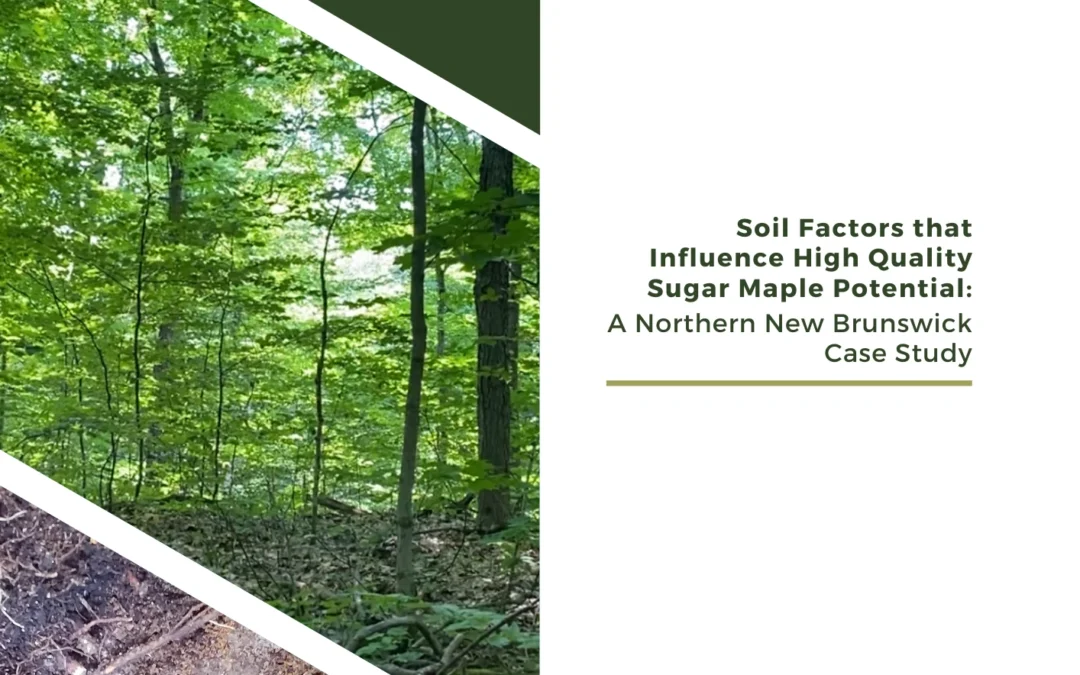 Soil Factors that Influence HQ SM
