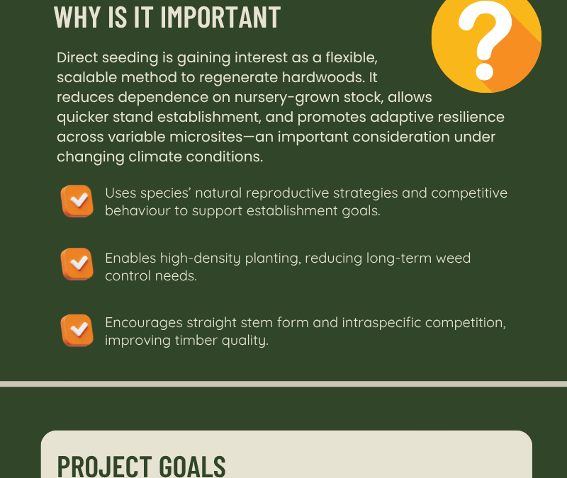 Direct Seeding of Hardwoods-Artificial regeneration of maple-ARM