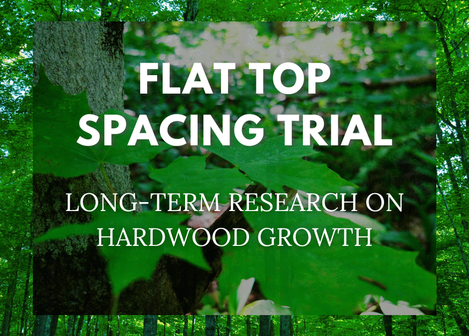 Flat Top Spacing Trial