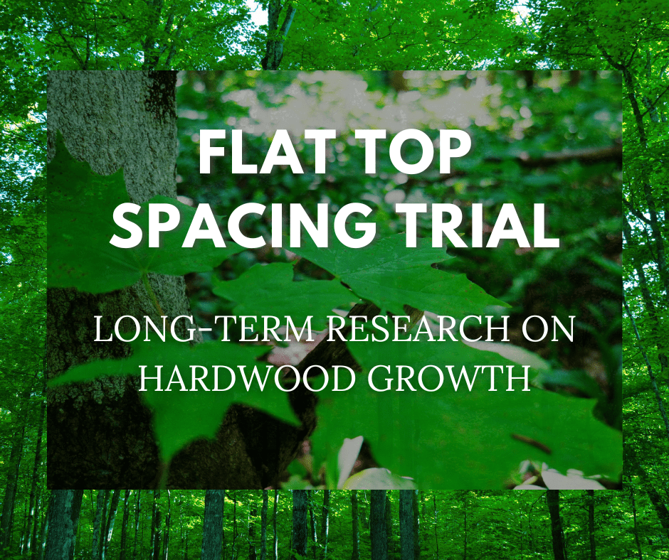 Flat Top Spacing Trial