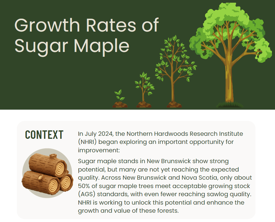 Growth Rates of Sugar Maple