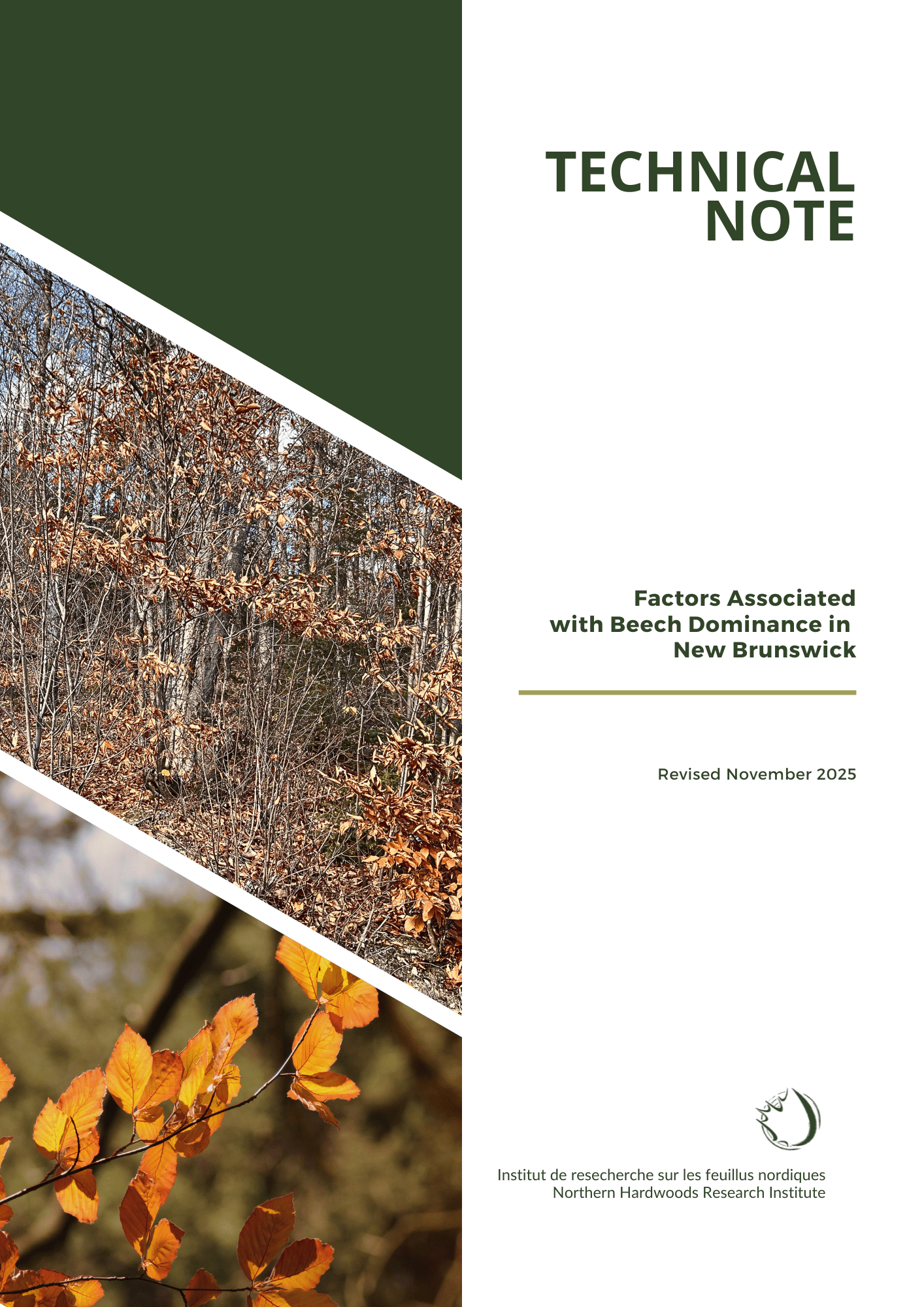 Factors Associated to Beech Dominance in NB    