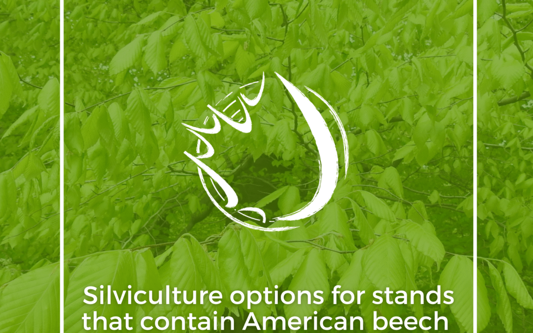 Vol III – Recommended Practices for Managing Mixed and Hardwood Forests of  NB