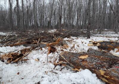 What Are We Leaving Behind? The Challenge of Assessing Residual Biomass in Hardwood Operations